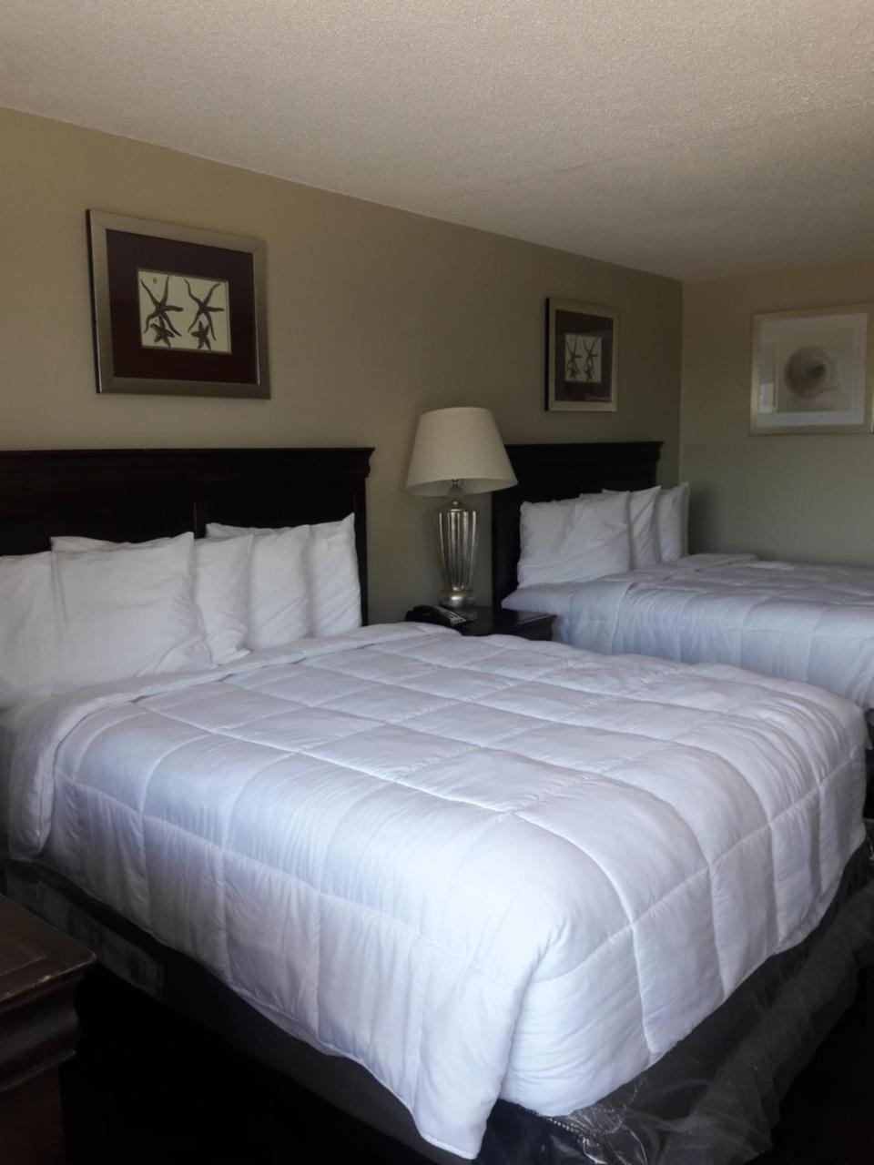 Ocean Waves Hotel Myrtle Beach Zewnętrze zdjęcie